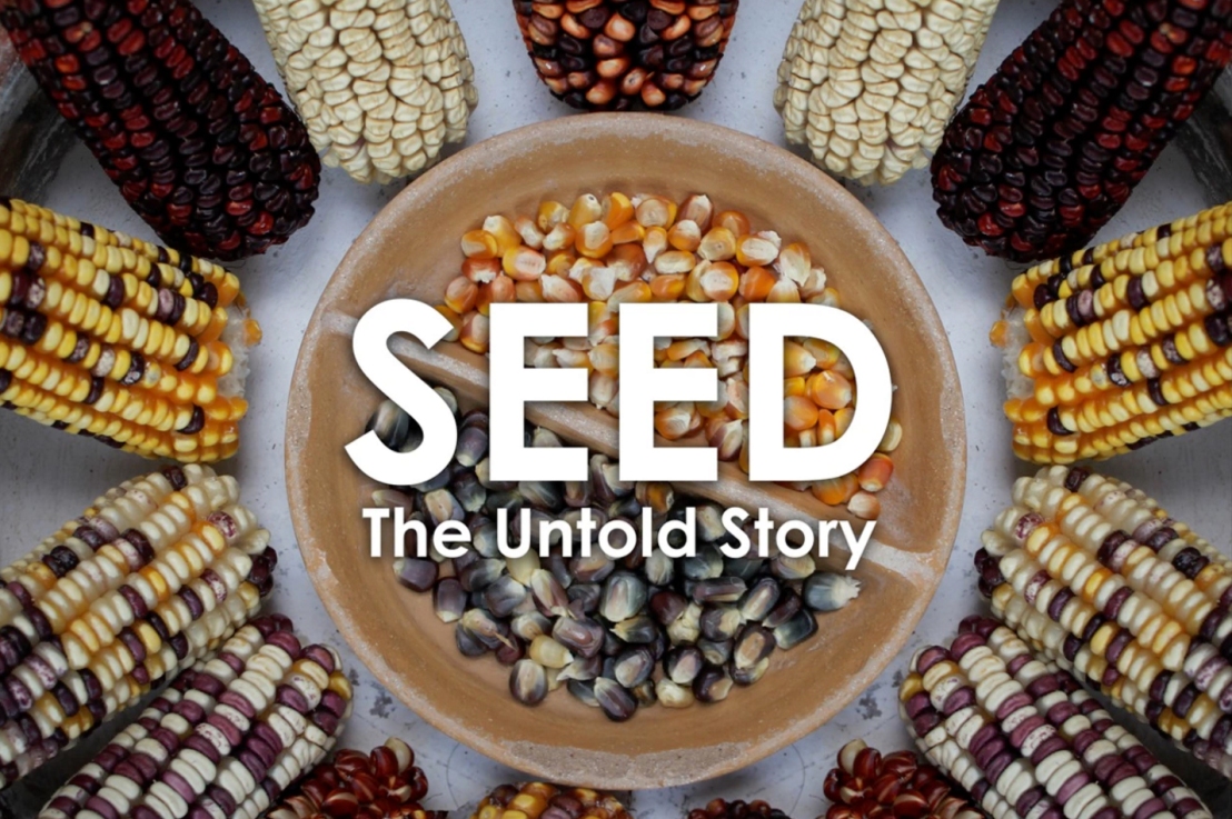 Seed Diversity is not a serious concern. Ignore the Seed movie?