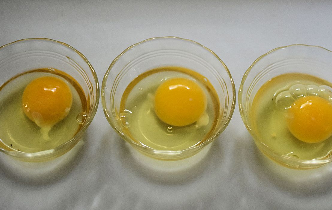 How large are your eggs?