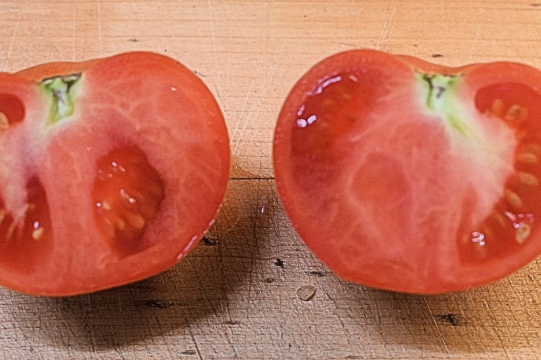 How to save tomato seeds